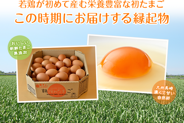 初卵の通販販売 若鶏が初めて産んだ貴重な初たまごを限定販売