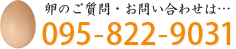 卵のご質問・お問い合わせは…095-822-9031