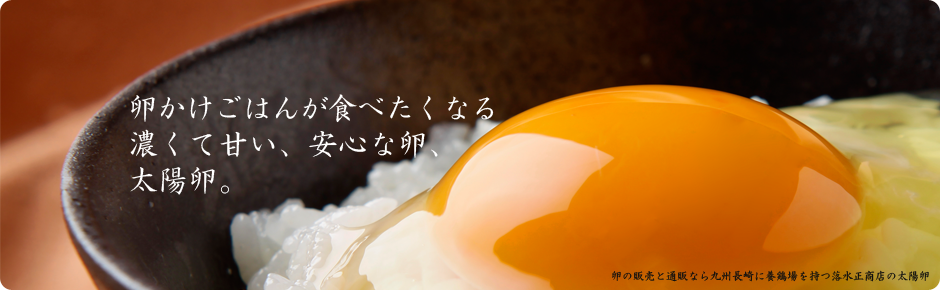 卵通販、卵販売なら九州・長崎に養鶏場を持つ落水正商店の高級自然卵