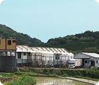 当社直営の養鶏場