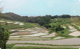 長崎と佐賀の県境にある多良岳