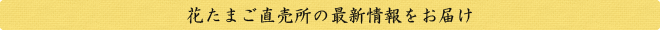 花たまご直売所の最新情報をお届け