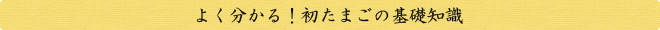 よく分かる！初たまごの基礎知識