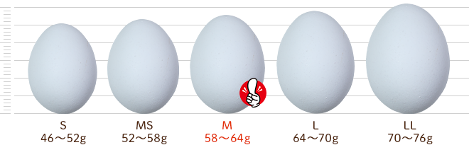 鶏卵別サイズ比較：卵の大きさと種類