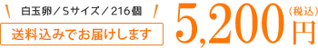 送料無料でお届けします 5,200円