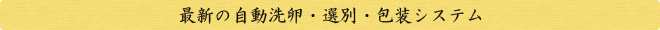 最新の自動洗卵・選別・包装システム