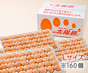 業務用卵赤玉Lサイズ160個