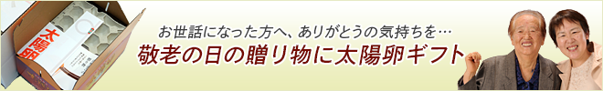 敬老の日の贈り物に太陽卵ギフト