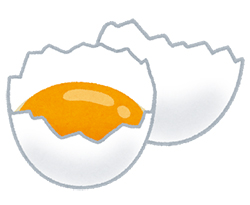 卵の黄身