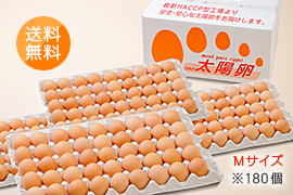 送料無料「業務用卵」赤玉Mサイズ180個入り