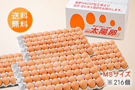 送料無料「業務用卵」赤玉MSサイズ216個入り