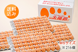 送料込み「業務用卵」赤玉MSサイズ216個入り