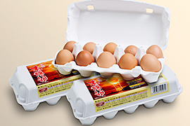 自然卵「太陽卵」10個入り3パック
