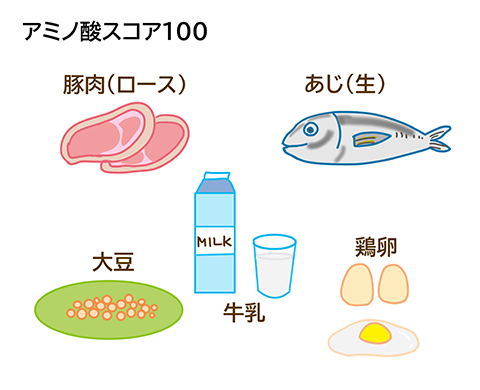 アミノ酸スコア100