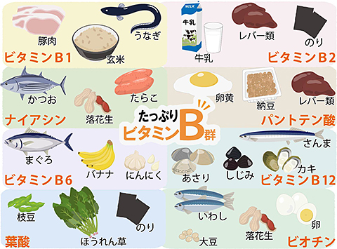 たっぷりビタミンB群