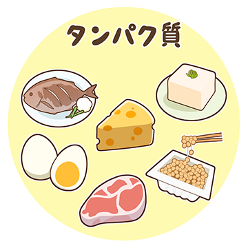 タンパク質